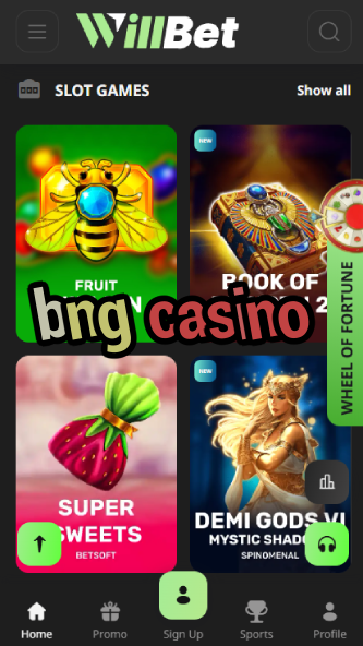 BNG Casino - Top Casino for Indian Players-casinobuddy.ydblkf.net